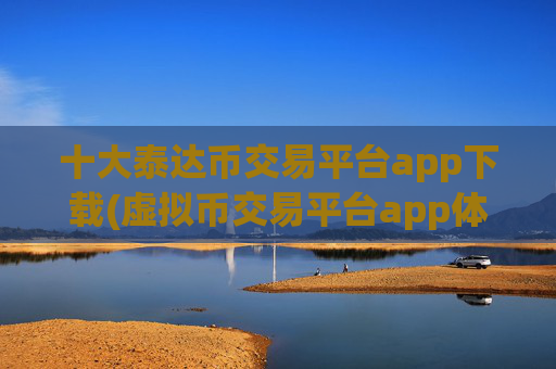 十大泰达币交易平台app下载(虚拟币交易平台app体验)