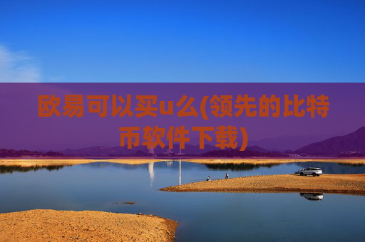 欧易可以买u么(领先的比特币软件下载)