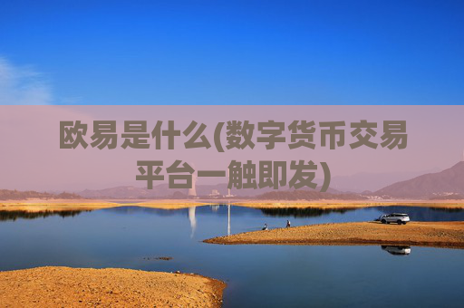 欧易是什么(数字货币交易平台一触即发)