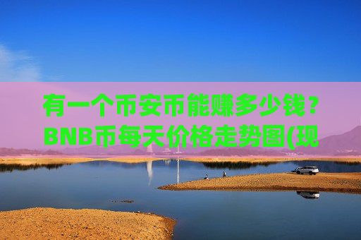 有一个币安币能赚多少钱?BNB币每天价格走势图(现价4966.47元)