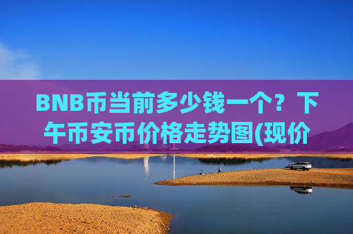 BNB币当前多少钱一个?下午币安币价格走势图(现价4958.88元)
