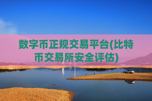 数字币正规交易平台(比特币交易所安全评估)