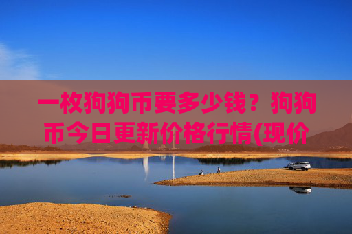一枚狗狗币要多少钱？狗狗币今日更新价格行情(现价2.315元)
