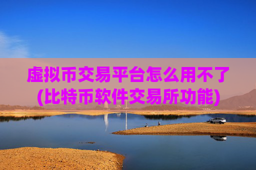 虚拟币交易平台怎么用不了(比特币软件交易所功能)