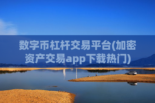 数字币杠杆交易平台(加密资产交易app下载热门)
