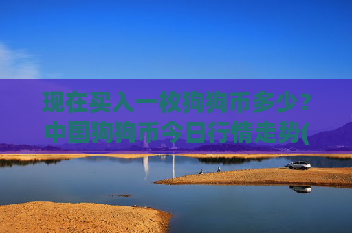 现在买入一枚狗狗币多少?中国狗狗币今日行情走势(现价2.326元)