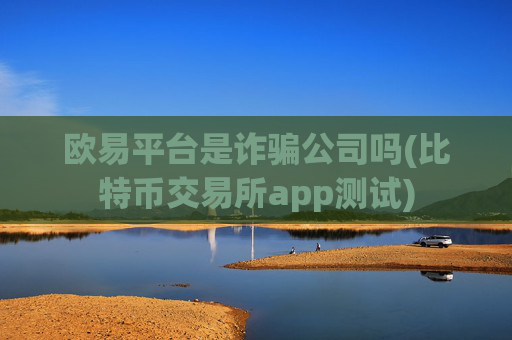欧易平台是诈骗公司吗(比特币交易所app测试)