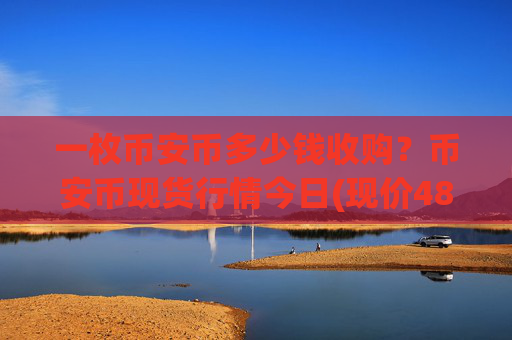 一枚币安币多少钱收购?币安币现货行情今日(现价4890.02元)