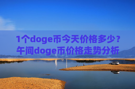 1个doge币今天价格多少?午间doge币价格走势分析(现价2.2664元)