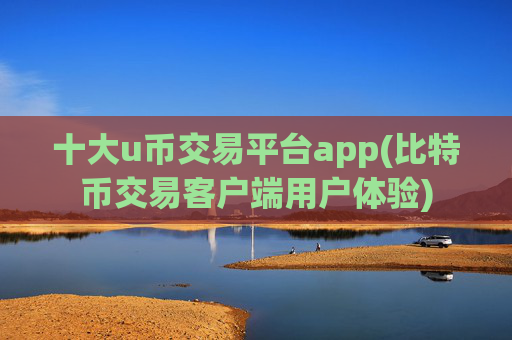 十大u币交易平台app(比特币交易客户端用户体验)