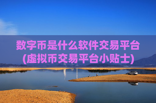 数字币是什么软件交易平台(虚拟币交易平台小贴士)