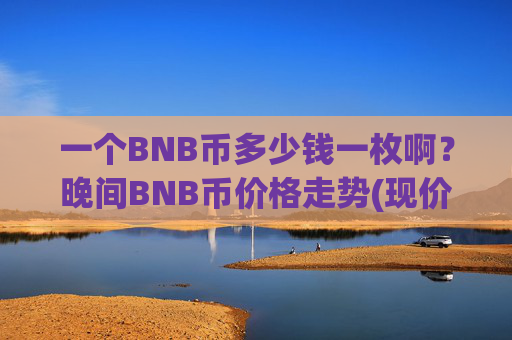 一个BNB币多少钱一枚啊？晚间BNB币价格走势(现价4885.92元)