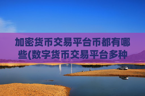 加密货币交易平台币都有哪些(数字货币交易平台多种交易模式)