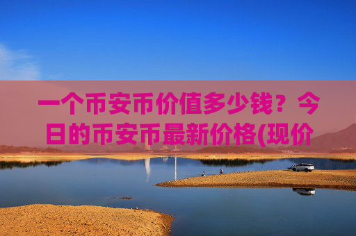 一个币安币价值多少钱？今日的币安币最新价格(现价4956.54元)