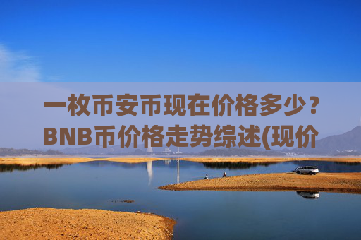 一枚币安币现在价格多少?BNB币价格走势综述(现价4903.81元)