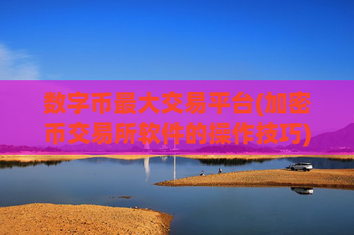 数字币最大交易平台(加密币交易所软件的操作技巧)