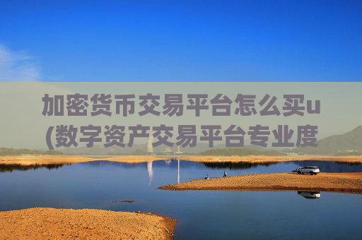 加密货币交易平台怎么买u(数字资产交易平台专业度)