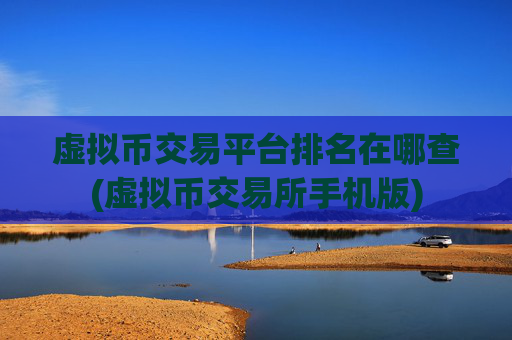 虚拟币交易平台排名在哪查(虚拟币交易所手机版)