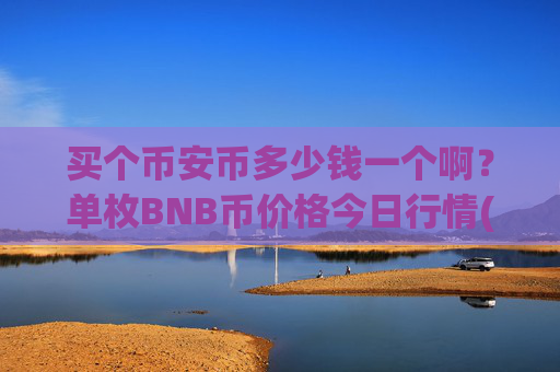 买个币安币多少钱一个啊?单枚BNB币价格今日行情(现价4782.21元)