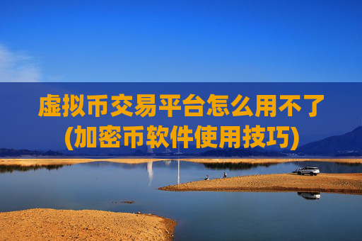 虚拟币交易平台怎么用不了(加密币软件使用技巧)