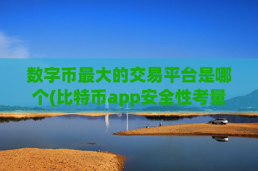 数字币最大的交易平台是哪个(比特币app安全性考量)