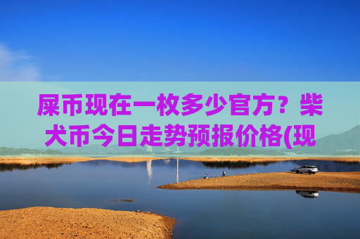 屎币现在一枚多少官方?柴犬币今日走势预报价格(现价0.000165元)