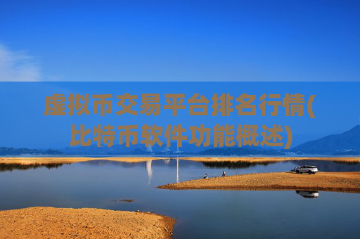 虚拟币交易平台排名行情(比特币软件功能概述)