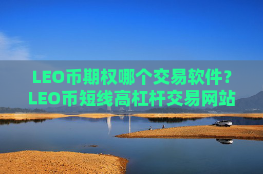 LEO币期权哪个交易软件?LEO币短线高杠杆交易网站