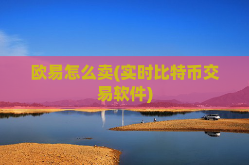 欧易怎么卖(实时比特币交易软件)