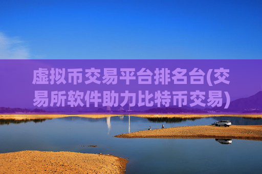 虚拟币交易平台排名台(交易所软件助力比特币交易)