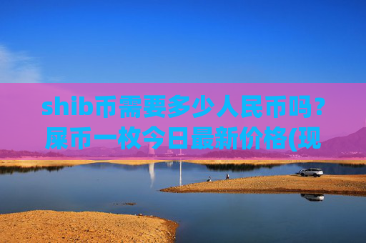 shib币需要多少人民币吗?屎币一枚今日最新价格(现价0.00016528元)