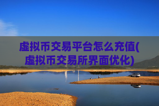 虚拟币交易平台怎么充值(虚拟币交易所界面优化)