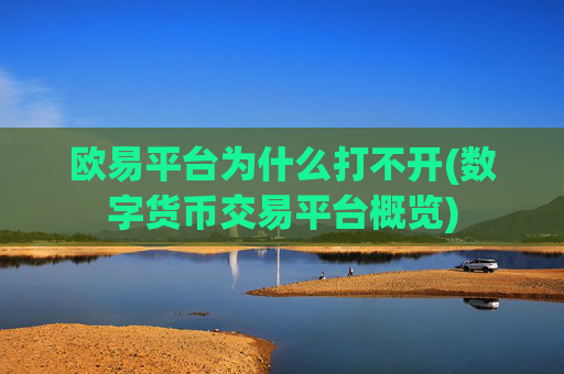 欧易平台为什么打不开(数字货币交易平台概览)