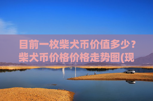 目前一枚柴犬币价值多少?柴犬币价格价格走势图(现价0.00016551元)
