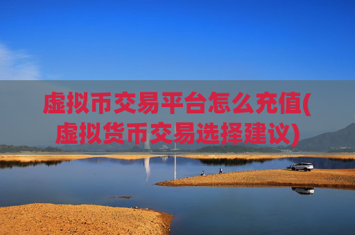虚拟币交易平台怎么充值(虚拟货币交易选择建议)