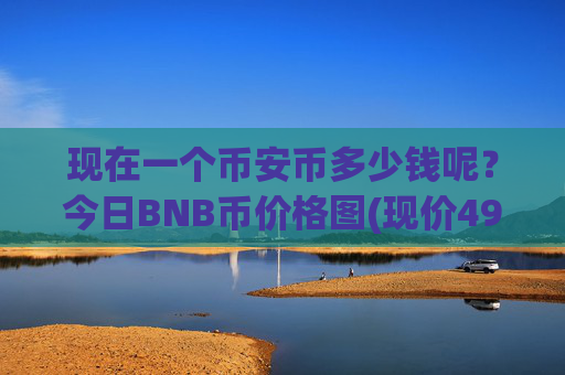现在一个币安币多少钱呢？今日BNB币价格图(现价4956.54元)