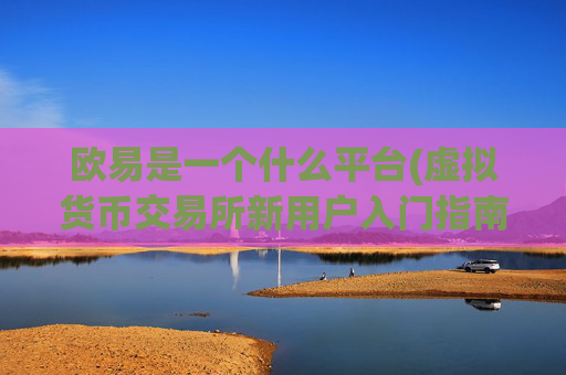 欧易是一个什么平台(虚拟货币交易所新用户入门指南)