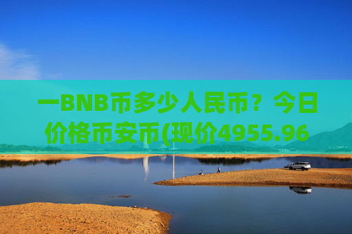一BNB币多少人民币？今日价格币安币(现价4955.96元)