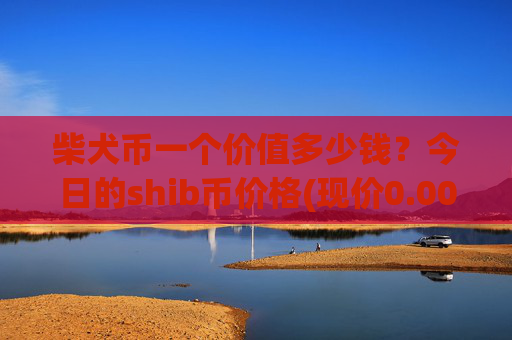 柴犬币一个价值多少钱？今日的shib币价格(现价0.00016222元)