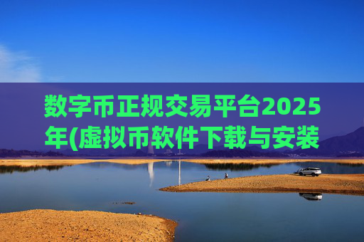 数字币正规交易平台2025年(虚拟币软件下载与安装)