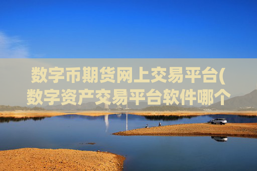 数字币期货网上交易平台(数字资产交易平台软件哪个好)