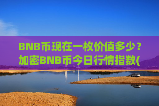 BNB币现在一枚价值多少?加密BNB币今日行情指数(现价4895.88元)