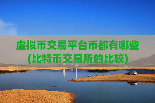 虚拟币交易平台币都有哪些(比特币交易所的比较)
