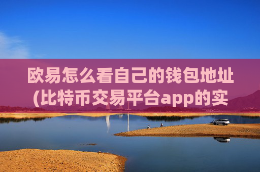 欧易怎么看自己的钱包地址(比特币交易平台app的实用性)