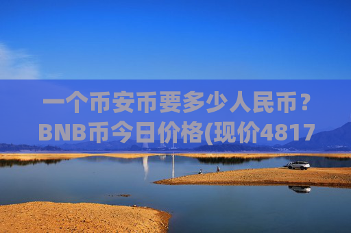 一个币安币要多少人民币?BNB币今日价格(现价4817.44元)