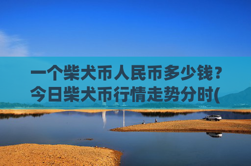 一个柴犬币人民币多少钱？今日柴犬币行情走势分时(现价0.00015415元)