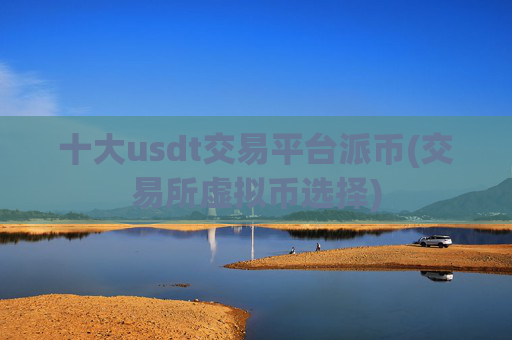 十大usdt交易平台派币(交易所虚拟币选择)