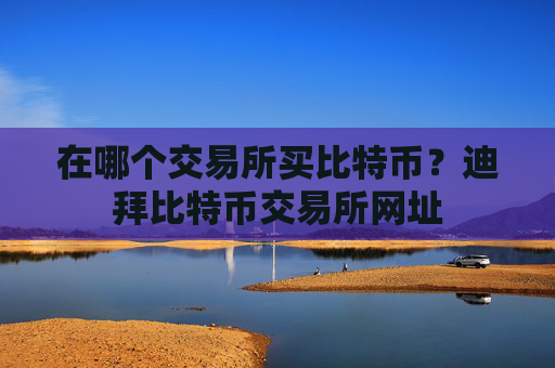 在哪个交易所买比特币?迪拜比特币交易所网址