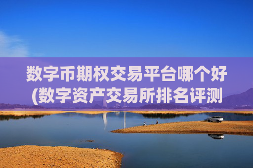 数字币期权交易平台哪个好(数字资产交易所排名评测)