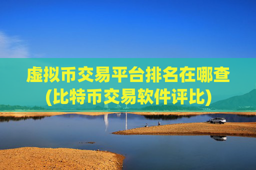 虚拟币交易平台排名在哪查(比特币交易软件评比)